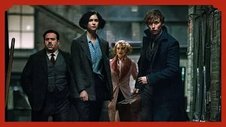 Les Animaux Fantastiques - Bande Annonce Officielle 5 (VF) - Eddie Redmayne