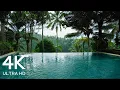 8 Hours Tropical Swimming Pool Ambience - Exotic Palm Trees 4K