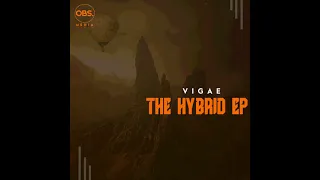 vigae sa the hybrid original mix 