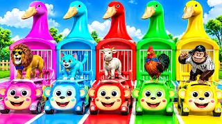 Gaming Music | 5 Giant Duck Cartoon | Paint Wild Animals Crossing Fountain Animation | MAP 044