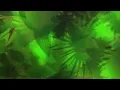 1-Hour Sleep Soundscape I Endel App