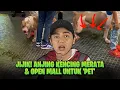 Lagu MALL MALAYSIA BAGI BAWAK ANJING \u0026 KUCING