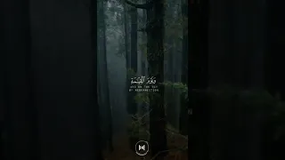 ويوم القيامة ترى الذين كذبوا على الله وجوههم مسودة قرآن سمير عزت  ويوم القيامة ترى الذين كذبوا على الله وجوههم مسودة قرآن سمير عزت