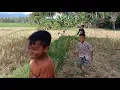 Download Lagu Anak anak Tanjuang Barulak