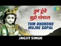 Download Lagu Tum Dhondho Mujhe Gopal | तुम ढूंढो मुझे गोपाल | Krishna Bhajan | कृष्णा भजन |Jagjit Singh