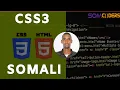 Baro CSS3 Somali - Inline Stylesheets 03