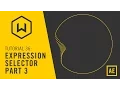 Tutorial 36 Expression Selector Part 3