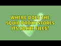 Where does the Squid proxy stores its cache files