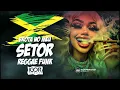 BROTA NO MEU SETOR vs Reggae Funk Remix 2025 @igorproducer