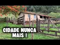 A ROÇA É O MELHOR LUGAR DO MUNDO- SEGURANÇA, AR PURO, ABUNDÂNCIA, MUITA NATUREZA E SILÊNCIO TOTAL