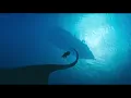 MEGALOPHOBIA x THALASSOPHOBIA | Captain Crow (The Sea Beast)