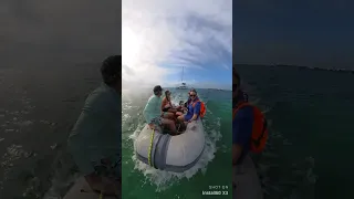 Sailing the Bahamas #shortvideo #travel #shorts