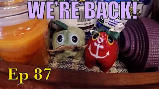 Settling In | Sailing Wisdom Ep 87