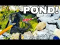 SEARCHING FOR HIDDEN RAINBOWFISH IN HOUSE POND