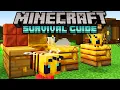 Intro to Bees Honey Honeycomb Minecraft Survival Guide 1 18 Tutorial Let s Play S2 E33