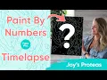 Paint By Numbers Charming Flower Time Lapse