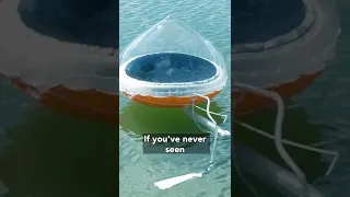 This Could Save Your Life Offshore