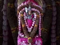 Download Lagu #velundu vinai illai #muruga potri #murugansongs #devotionalsongs #devotionalhits #music