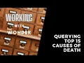 Working with WONDER -