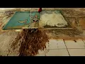 Lagu Astounding muddy flooding carpet cleaning satisfying rug cleaning ASMR