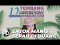 Download Lagu Nunung Alvi - Entok Manis Sepah Dibuang