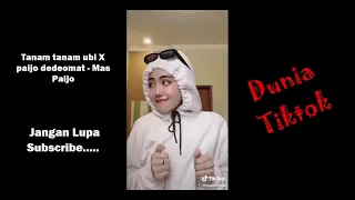 Download Tiktok Viral Lagu Tanam tanam ubi X paijo dedeomat - Mas Paijo MP3