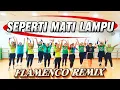 Lagu SEPERTI MATI LAMPU🔥FLAMENCO REMIX / ZUMBA DANGDUT / TIKTOK VIRAL /  Mona \u0026 Friends