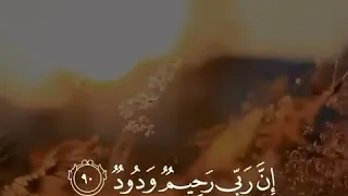 حالات واتس اب الشيخ ناصر القطامي 