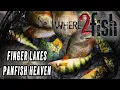 Where2fish - EP2 Multi-Species in the Finger Lakes
