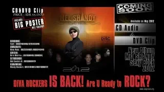 mel shandy terdampar