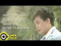 【ENG SUB】 Huang Pin Yuan 黃品源【How can you allow me to be in sorrow 你怎麼捨得我難過】Official Music Vide