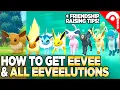 How to Get Eevee All Eeveelutions Friendship Raising Tips in Pokemon Brilliant Diamond