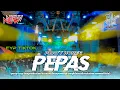 Download Lagu DJ PEPAS FYP TIKTOK | EMWE OFFICIAL | RENGBLAEN REVOLUTION