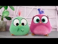 THE ANGRY BIRDS MOVIE 2 - Happy Mother's Day from the Hatchlings!