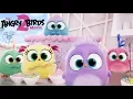 Download Lagu THE ANGRY BIRDS MOVIE 2 - Happy Mother's Day from the Hatchlings!