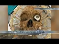 Arizona Goodwill Store makes disturbing discovery in box of donated items