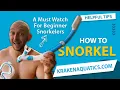 Download Lagu How to Snorkel | A Must Watch For First Time Snorkelers | Snorkeling for Beginners