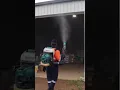 SPIDERS in my Garage