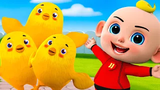 Little Chicks Song | Where did the lost chicks go? | Nursery Rhymes & Kids Songs