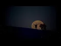 Mert Şenel & Sokrat St - Yeminim Var Lyrics/Yeminim Var Lyrics
