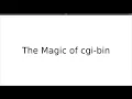The Magic of cgi-bin