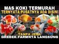 Lagu TERSEMBUNYI dan HAMPIR HILANG! Farm Mas Koki Ini Bangkit dari Bencana Besar! 😱🐠
