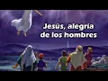 Jesús, alegria de los hombres JS Bach