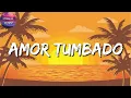 🎵 Banda Romántica || Amor Tumbado - Natanael Cano || El Fantasma || El David || Marca Mp (Letra)