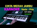 Download Lagu CINTA MERAH JAMBU - Lavenia  | KARAOKE Nada Pria | Lagu Lawas