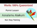 Download Lagu Teach your Parrot - Assalamu Alaikum | Parrot Lesson | Parrot talking | Parrot learning sound |Salam