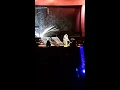 20170317 규현 圭賢solo演唱會天梯