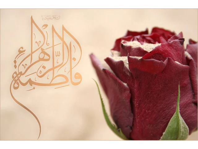 ⁣سيدة الطهارة | الشيخ عبدالله دشتي