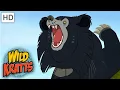 Wild Kratts Sloth Bear Wildlife
