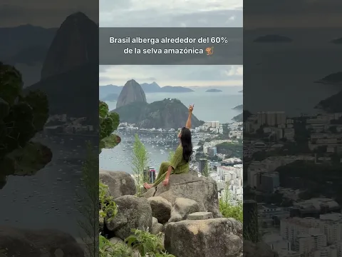 ¿Cuántas conocías? 👀🌎